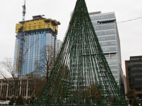 7Seventy7 and the Christmas Tree
