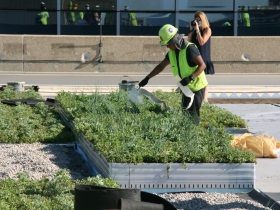 Green Roof Installation at 770 North