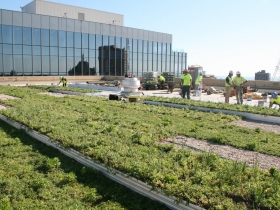 Green Roof Installation at 770 North