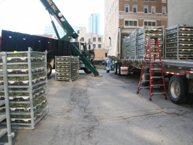 Green Roof Installation at 770 North