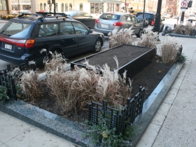 Winter Streetscaping