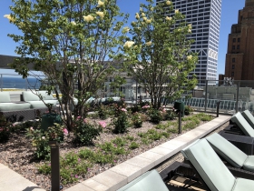Amenity Deck at 7Seventy7