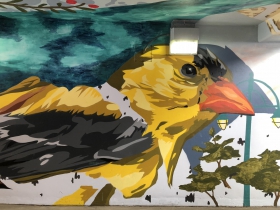 Migration