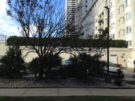 906 E. Mason St.