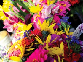 Flowers