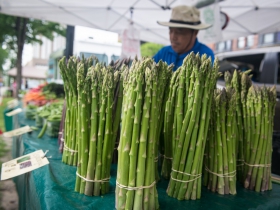 Cathedral Square Market