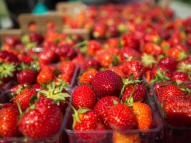 Cathedral Square Market