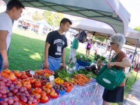Cathedral Square Market