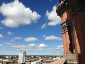 The view
