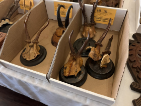Antlers at Karl Ratzsch's