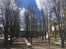 Kiley Grove at the Marcus Center