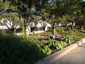 O'Donnell Park Wall