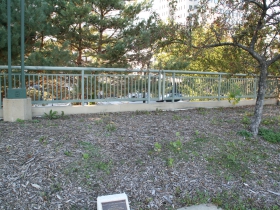 Park Edge