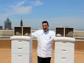 Chef Frakes and the beehives.