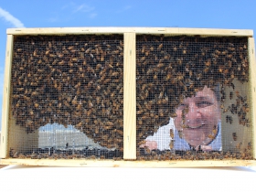 Chef Frakes and the beehives.