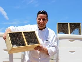 Chef Frakes and the beehives.