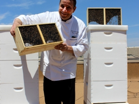 Chef Frakes and the beehives.