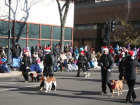 Taking your dog for a walk.