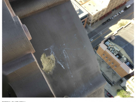 Spalling Terra Cotta at Milwaukee City Hall