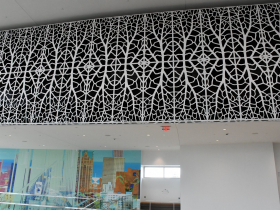 Decorative Covering Over Emergency HVAC System