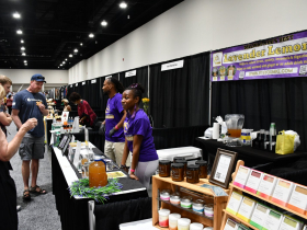 Fit4YouMKE's Lavender Lemonade