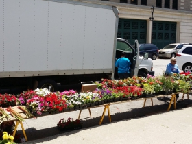 Westown Farmers’ Market