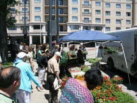 Flower Vendors