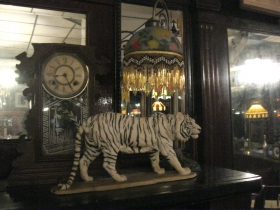White tiger