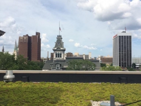 The Central Library features a green roof that can be viewed in tours on Wednesdays at noon, and Saturdays at 10 a.m.