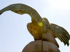 Eagles Atop the Central Library.