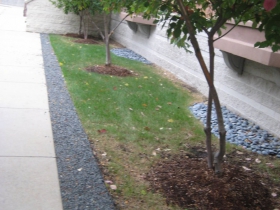 Apparently, road salt has killed some of the grass.