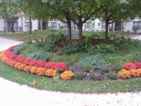 Flowers.