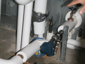 Steam trap