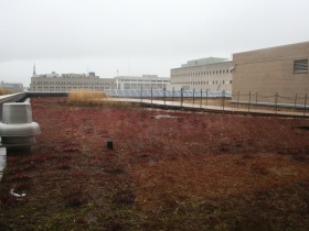 Green Roof