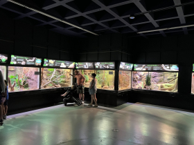 Fish, Frogs & Snakes Exhibit
