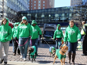 2017 St. Patrick's Day Parade