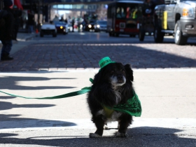 2017 St. Patrick's Day Parade