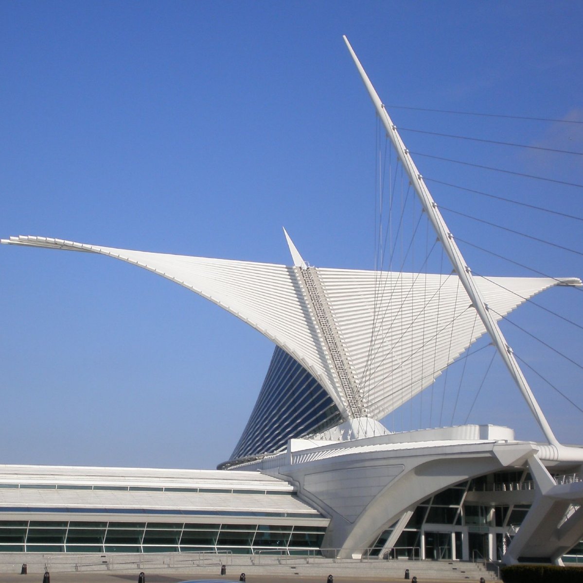 Murphy’s Law: Will Art Museum Dump Stephen Einhorn?