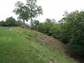 Lake Park Bluff Trimming