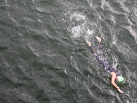 Lone swimmer.