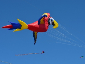 2017 Kite Festival