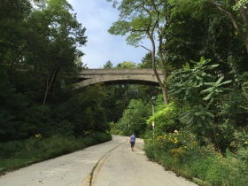 Lake Park Arch Bridge Over Ravine Road