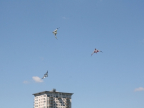 Frank Mots International Kite Festival