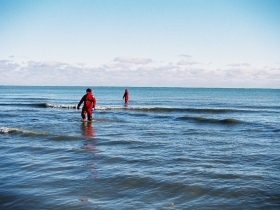 2013 Polar Bear Plunge