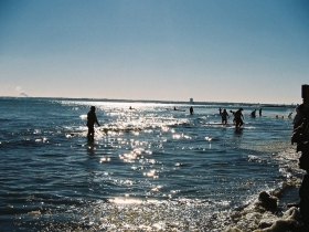 2013 Polar Bear Plunge