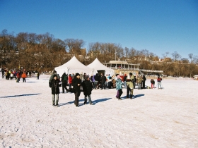 2013 Polar Bear Plunge