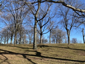 Kosciuszko Park