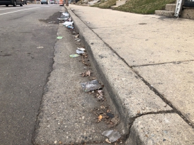 Litter along W. North Ave.