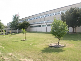 Hmong American Peace Academy