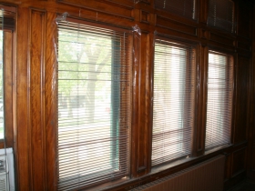 Goll House Windows
